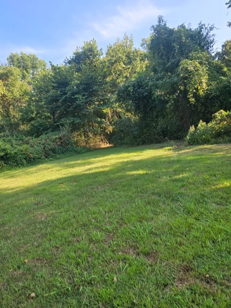 Custom outdoor landscaping experts serving Murphysboro, IL - Big Muddy Landscaping