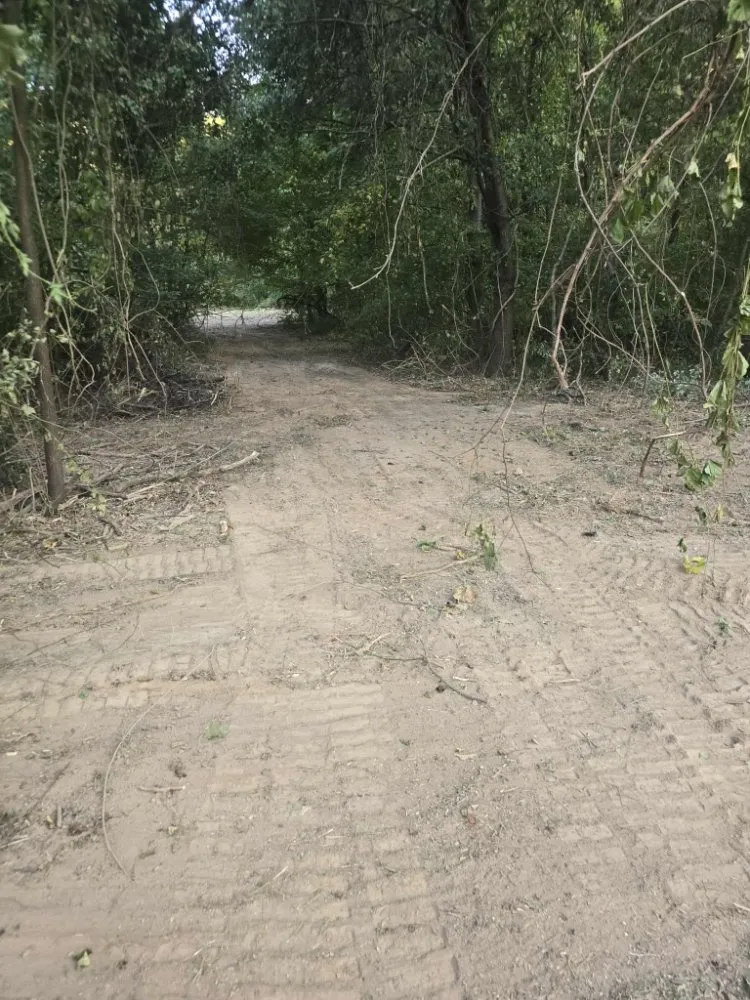 Affordable outdoor landscaping in Murphysboro, IL - Big Muddy Landscaping