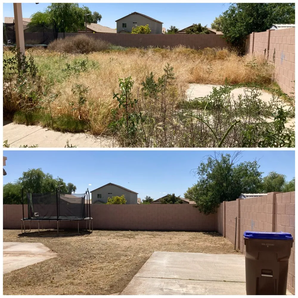 Affordable landscape installation in Apache Junction, AZ by Big O Lawn Care