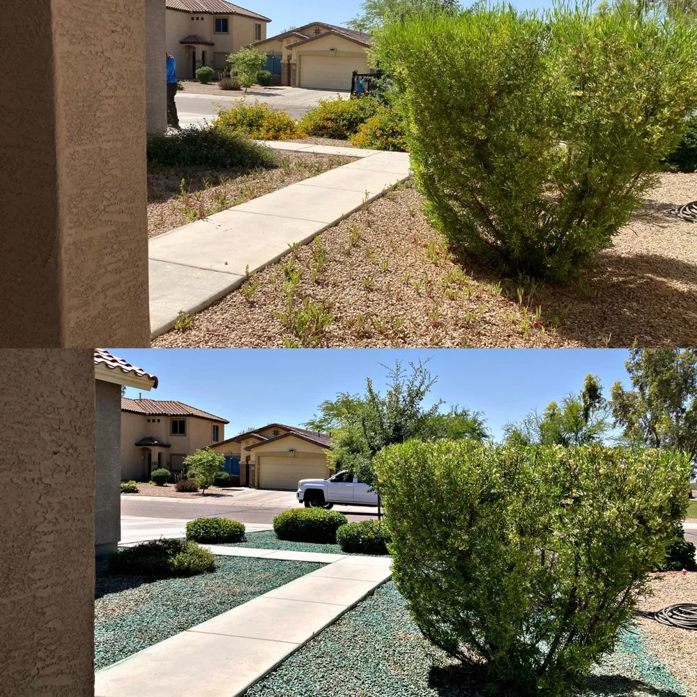 Affordable lawn mowing service for residential properties in Apache Junction, AZ by Big O Lawn Care