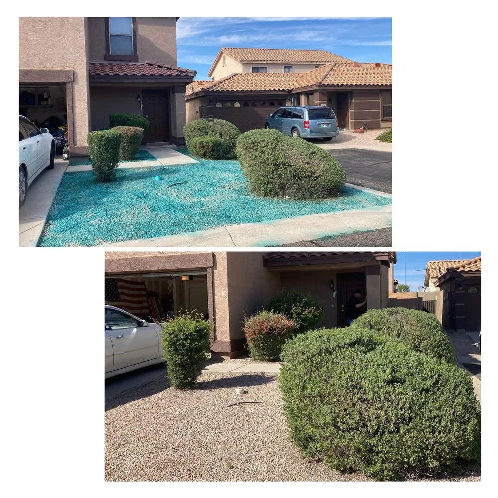 Top-rated landscape design for beautiful yards across Apache Junction, AZ - Big O Lawn Care