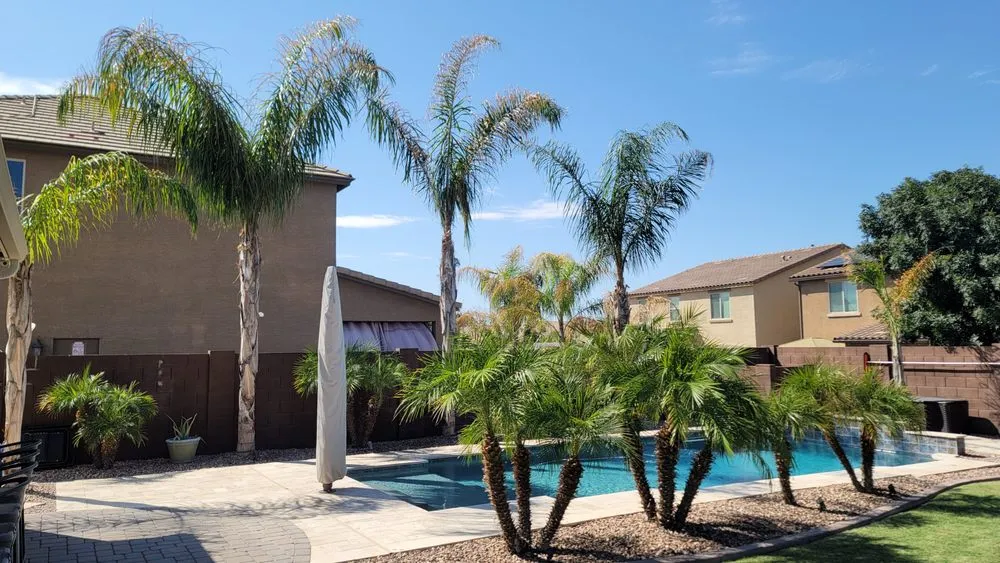 Reliable landscape design for residential properties across Apache Junction, AZ - Big O Lawn Care