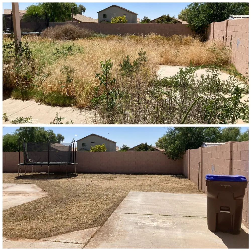 Affordable yard maintenance in Apache Junction, AZ - Big O Lawn Care