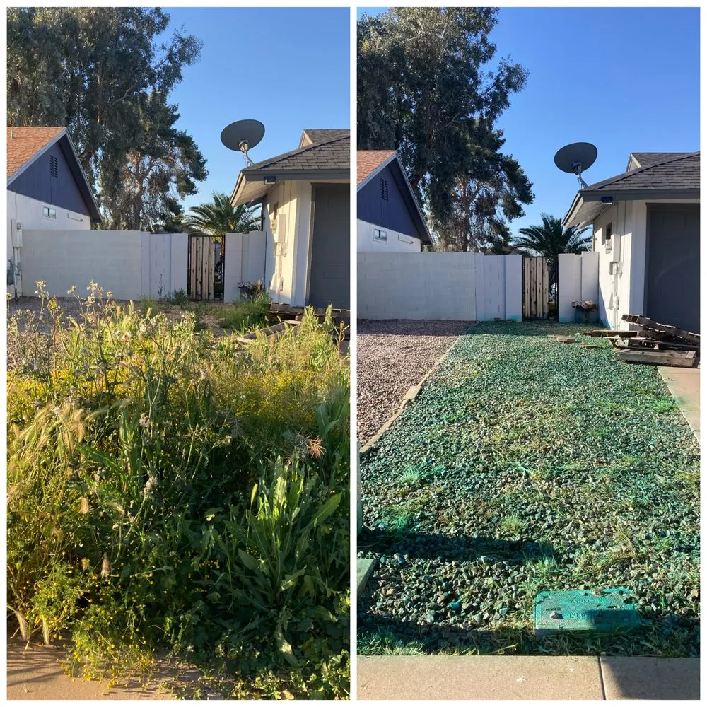 Top-rated residential landscaping experts serving Apache Junction, AZ - Big O Lawn Care