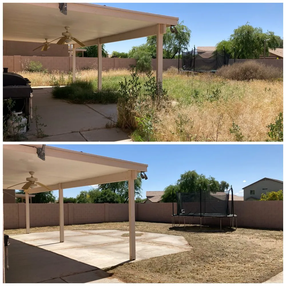 Top-rated outdoor landscaping experts serving Apache Junction, AZ - Big O Lawn Care
