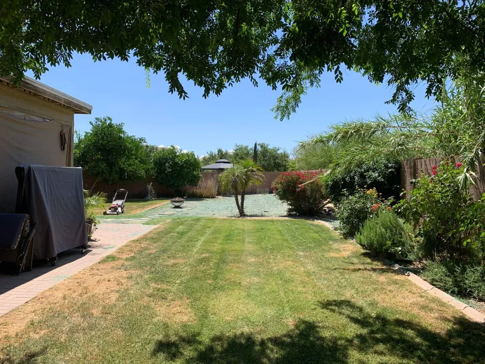 Affordable yard cleanup service experts serving Apache Junction, AZ - Big O Lawn Care