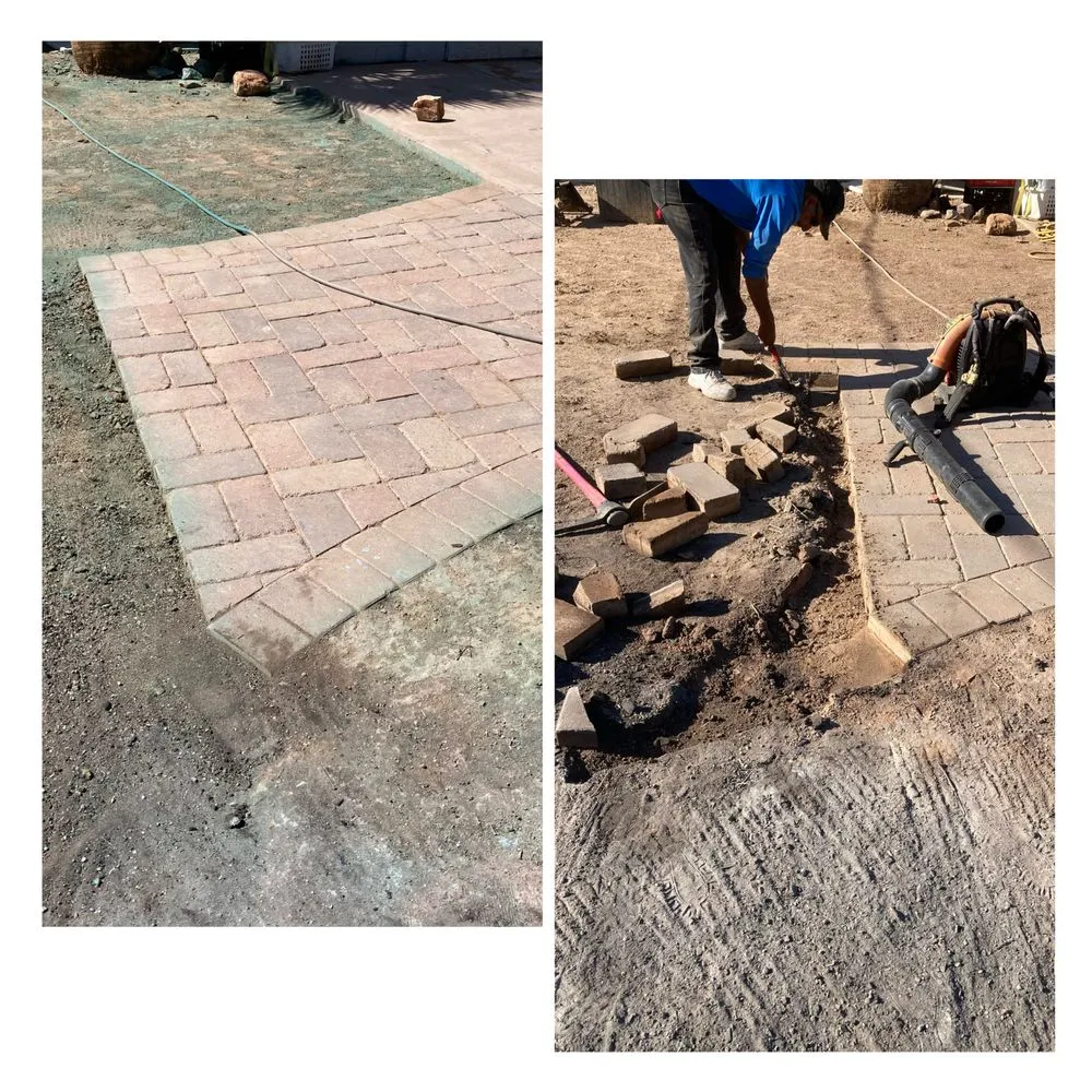 Affordable yard maintenance in Apache Junction, AZ by Big O Lawn Care