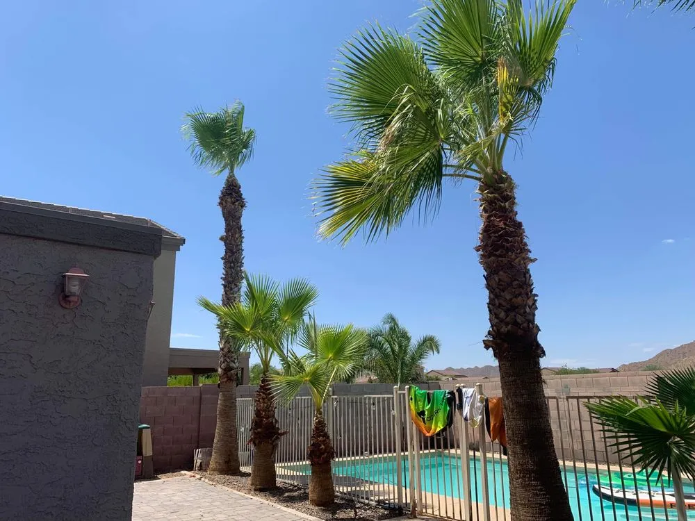 Local residential landscaping for homes in Apache Junction, AZ by Big O Lawn Care
