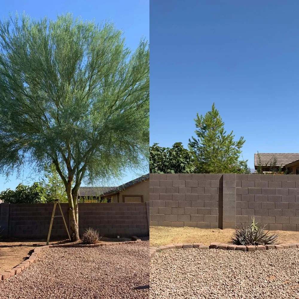 Top-rated residential landscaping for year-round maintenance across Apache Junction, AZ - Big O Lawn Care