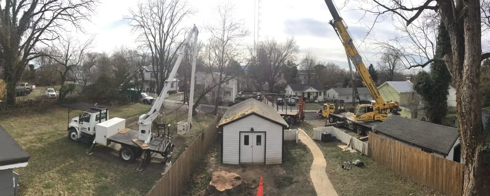 Local yard cleanup service experts serving Stuarts Draft, VA - Big O Tree and Lawn Service