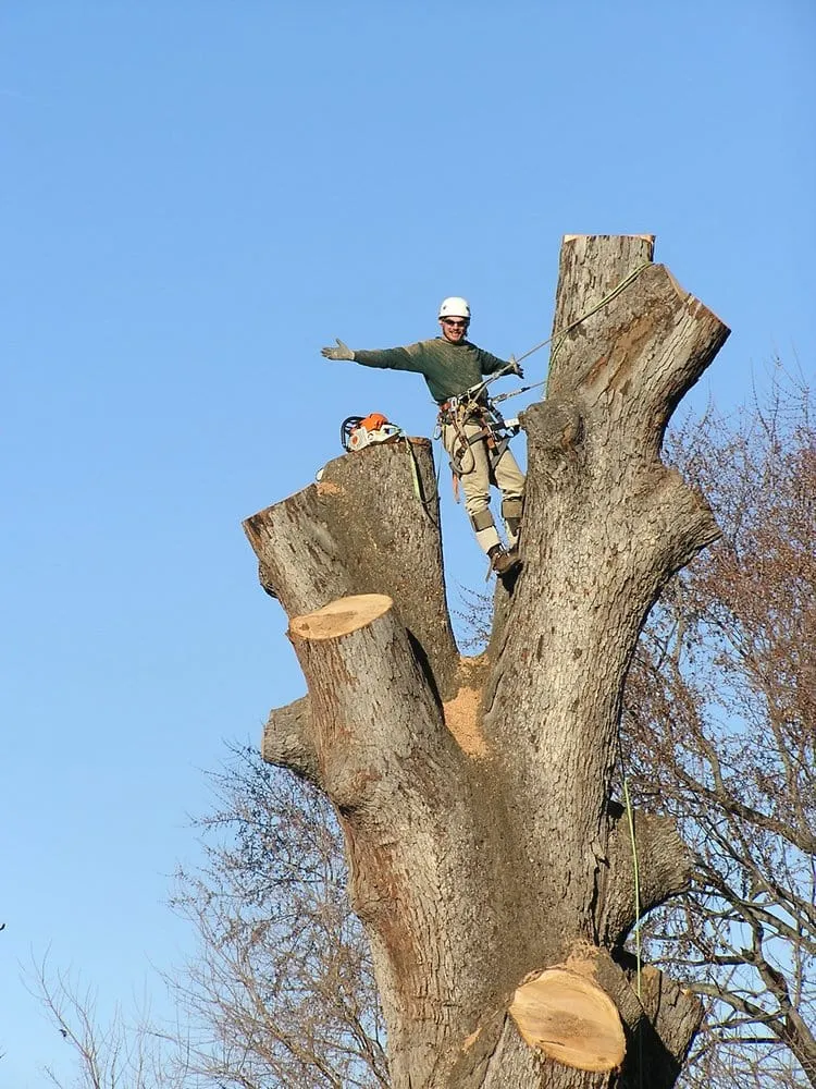 Professional outdoor landscaping experts serving Stuarts Draft, VA - Big O Tree and Lawn Service