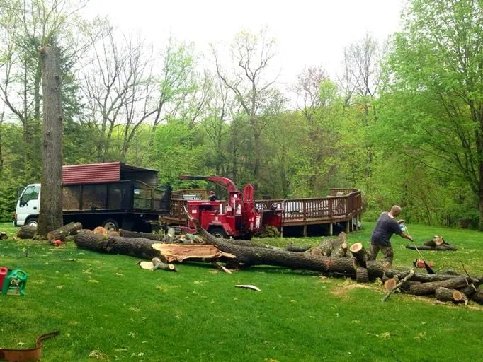 Local landscaping services with custom design across Bethany, CT - Big Oak Services