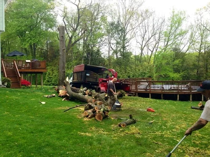 Trusted landscape design in Bethany, CT - Big Oak Services