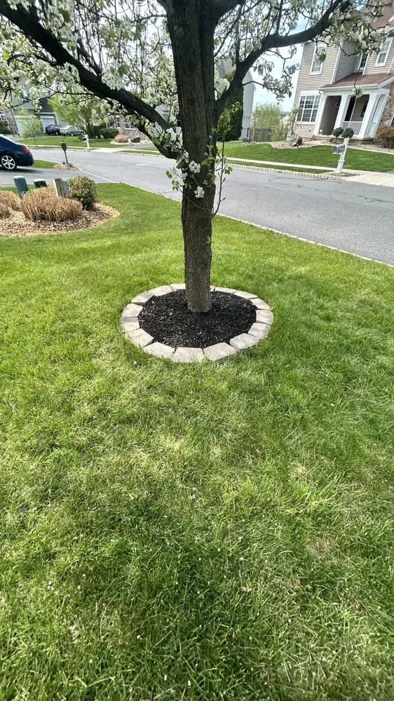 Expert lawn care service near you across Palmer Township, PA - Big O's Landscaping