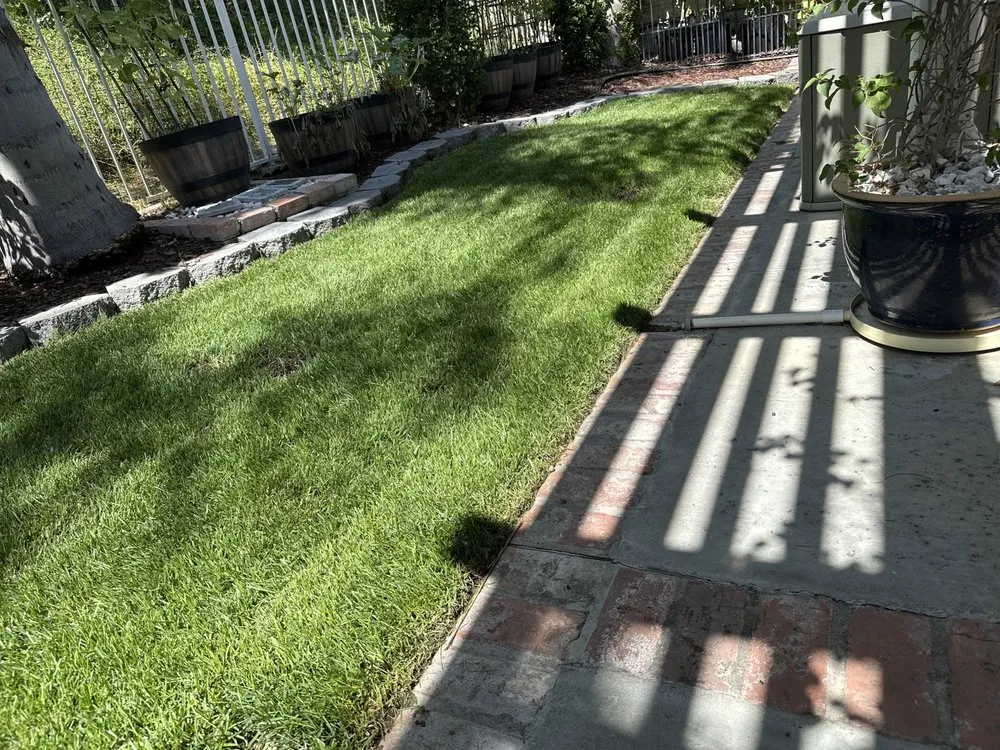 Reliable landscaping services experts serving San Fernando Valley, CA - Big Outdoors