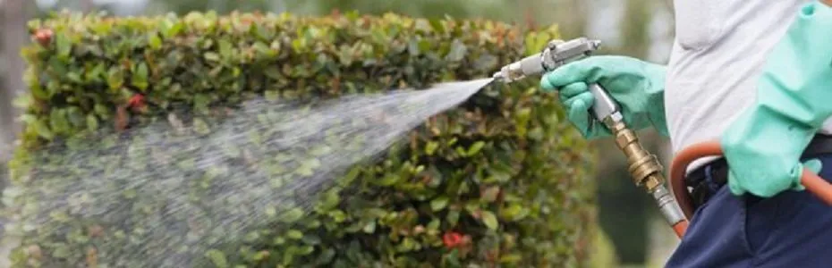 Top-rated garden landscaping in Waldorf, MD by Big Owe Lawn Care Services