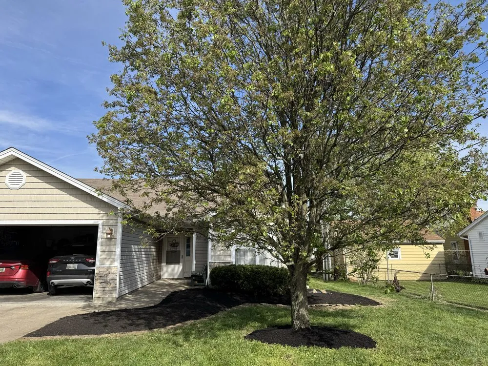 Expert lawn mowing service for residential properties across Hamilton, OH - Big Ox Prolawns