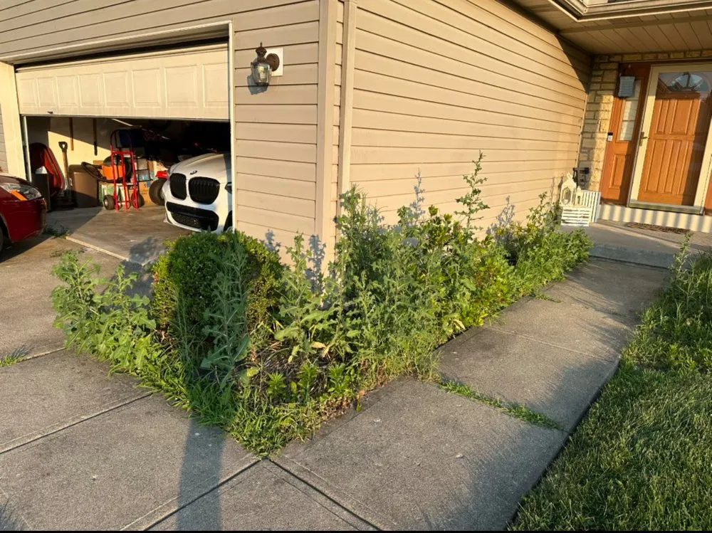 Affordable yard cleanup service in Hamilton, OH - Big Ox Prolawns