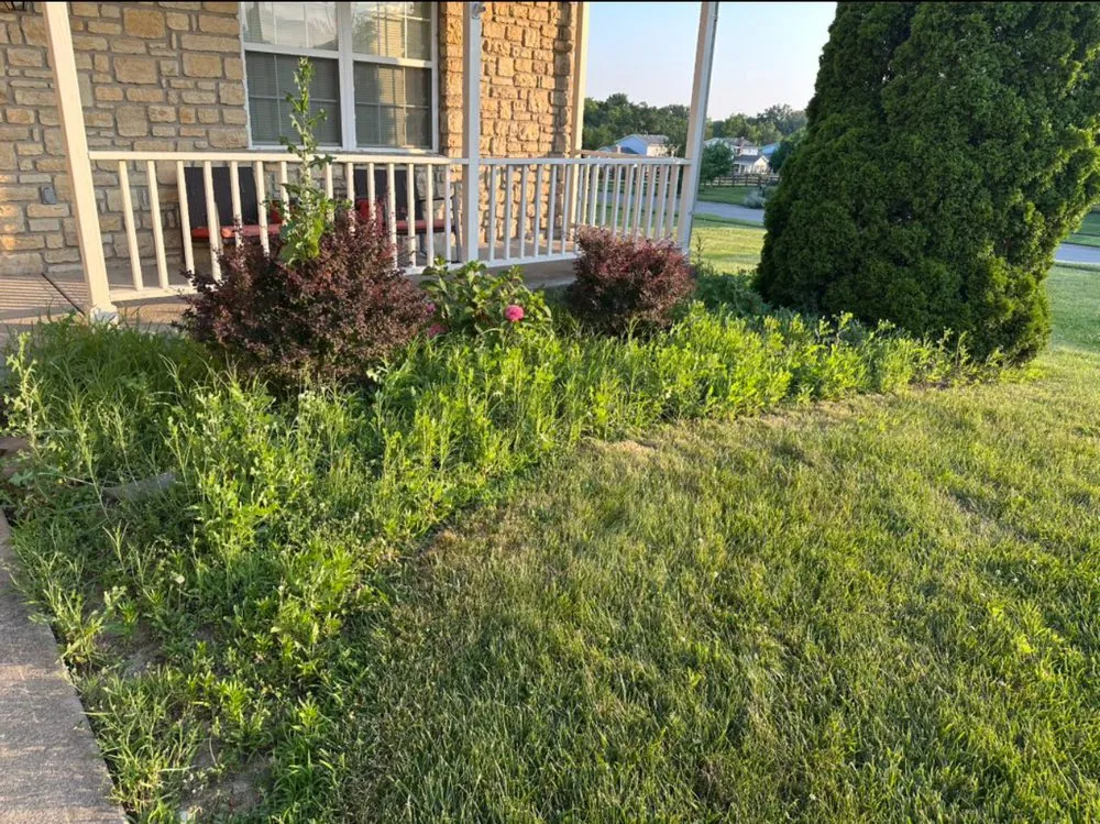 Trusted landscape installation in Hamilton, OH by Big Ox Prolawns