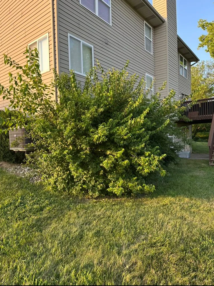 Professional landscaping services with custom design in Hamilton, OH by Big Ox Prolawns