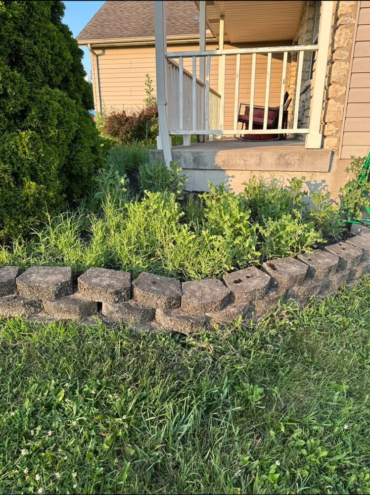 Professional lawn mowing service experts serving Hamilton, OH - Big Ox Prolawns