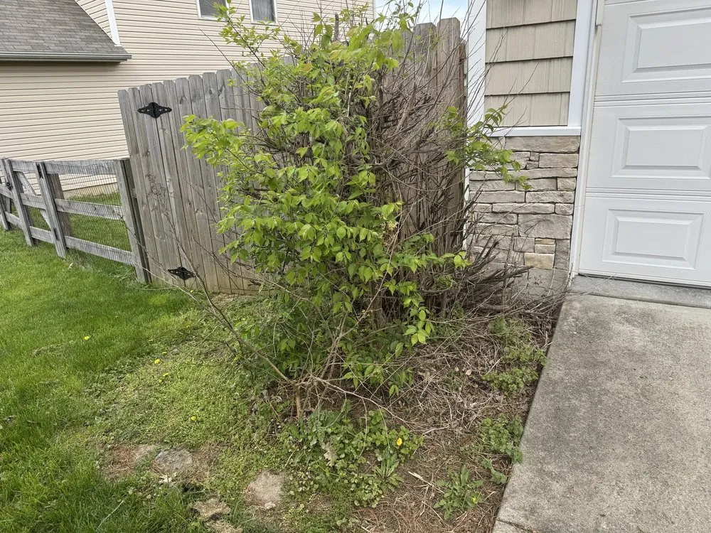 Top-rated landscape installation in Hamilton, OH - Big Ox Prolawns