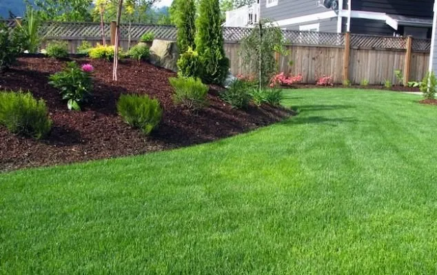 Affordable landscaping services in Seneca, MO by Big Pine Lawns
