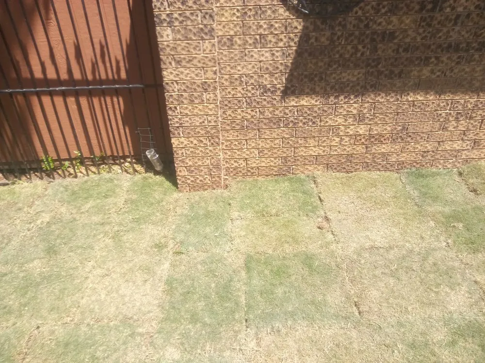 Expert residential landscaping for homes in Azle, TX by Big Plans In The South Land Lawn and Landscaping