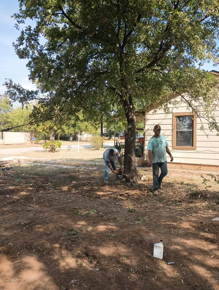 Affordable yard cleanup service experts serving Azle, TX - Big Plans In The South Land Lawn and Landscaping