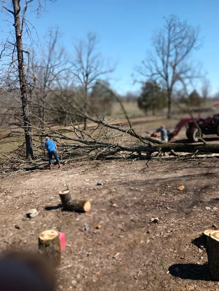 Expert yard maintenance in Azle, TX by Big Plans In The South Land Lawn and Landscaping