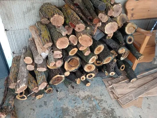 Big Plans In The South Land Lawn and Landscaping