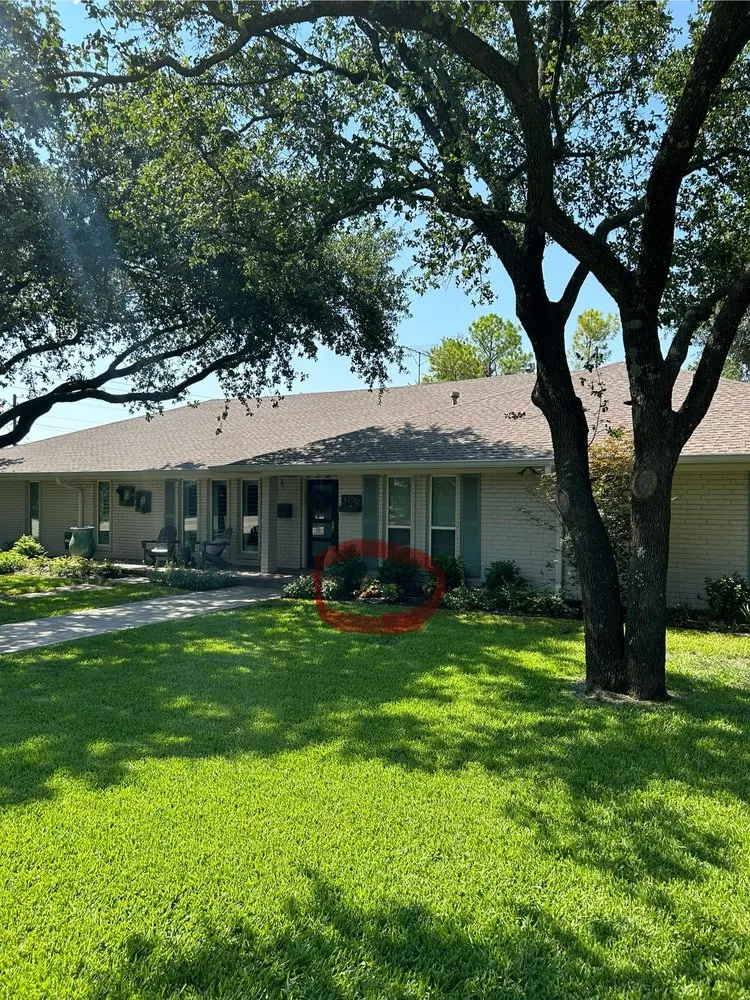 Expert yard cleanup service experts serving Farmers Branch, TX - Big Red Services