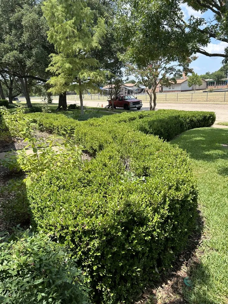 Top-rated residential landscaping for residential properties in Farmers Branch, TX by Big Red Services