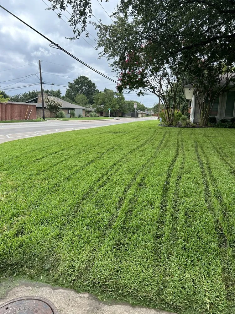 Trusted yard maintenance experts serving Farmers Branch, TX - Big Red Services