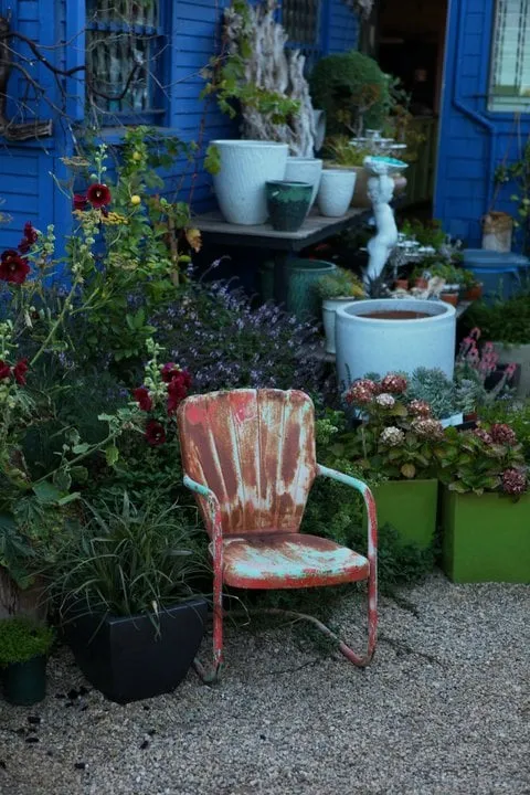 Trusted yard cleanup service in Venice, CA - Big Red Sun