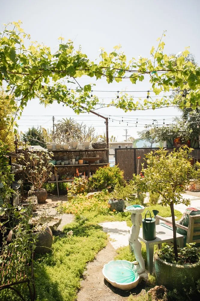 Professional garden landscaping in Venice, CA - Big Red Sun
