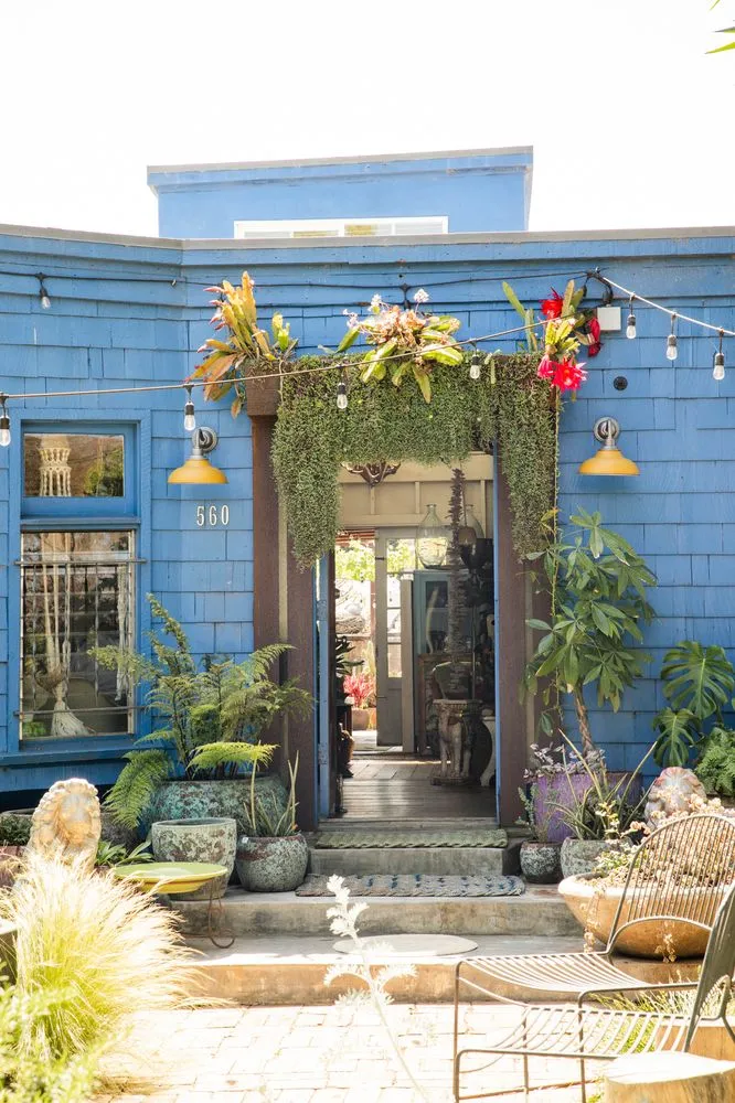 Professional outdoor landscaping experts serving Venice, CA - Big Red Sun