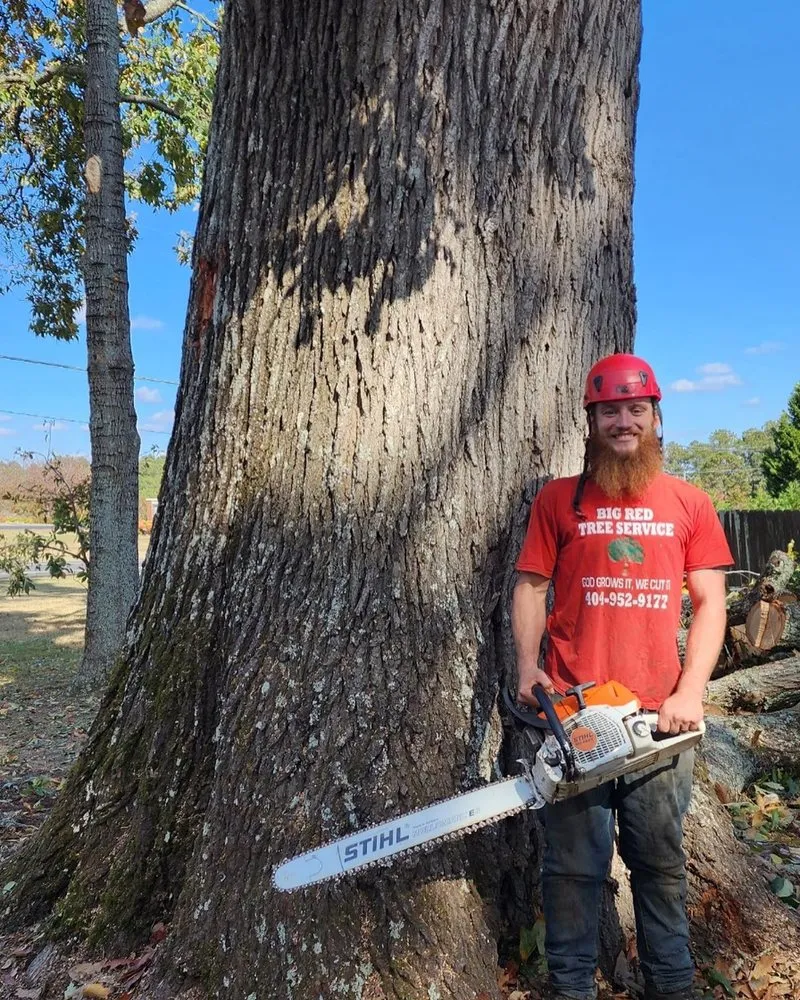 Local yard cleanup service in Loganville, GA - Big Red Tree Service