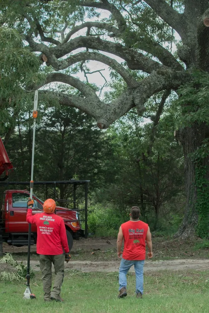 Trusted lawn care service experts serving Loganville, GA - Big Red Tree Service