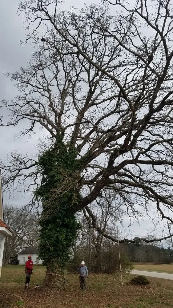 Affordable yard maintenance for outdoor upgrades in Loganville, GA by Big Red Tree Service