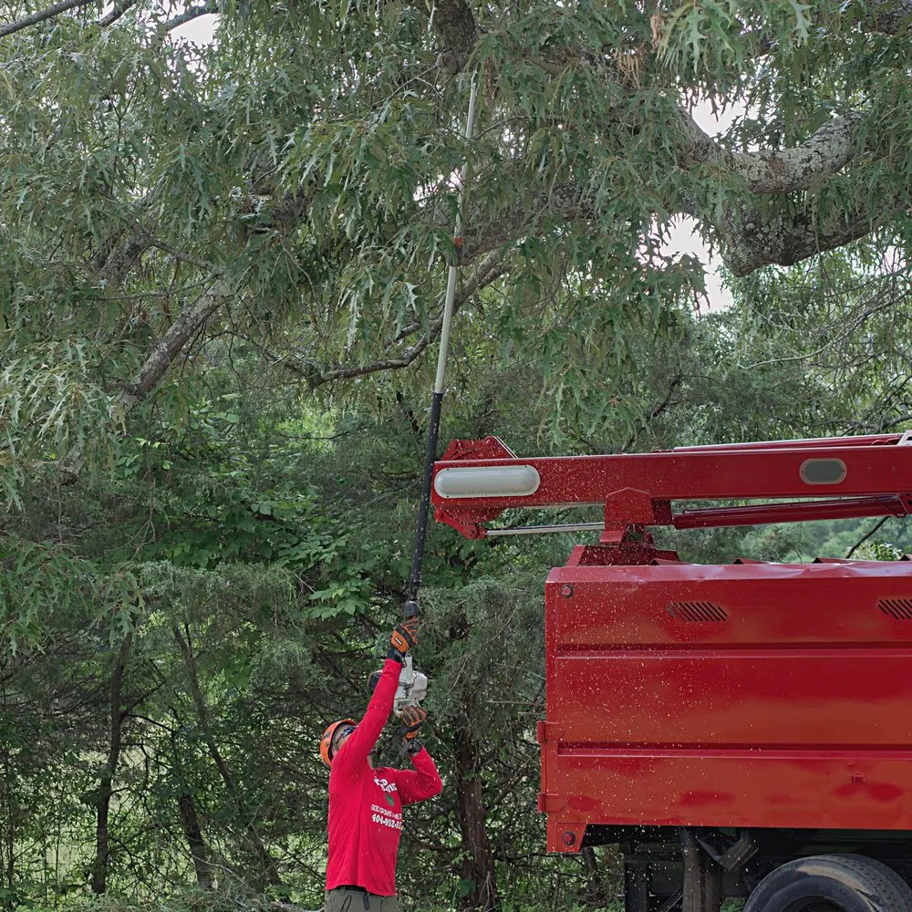 Expert yard cleanup service for beautiful yards across Loganville, GA - Big Red Tree Service