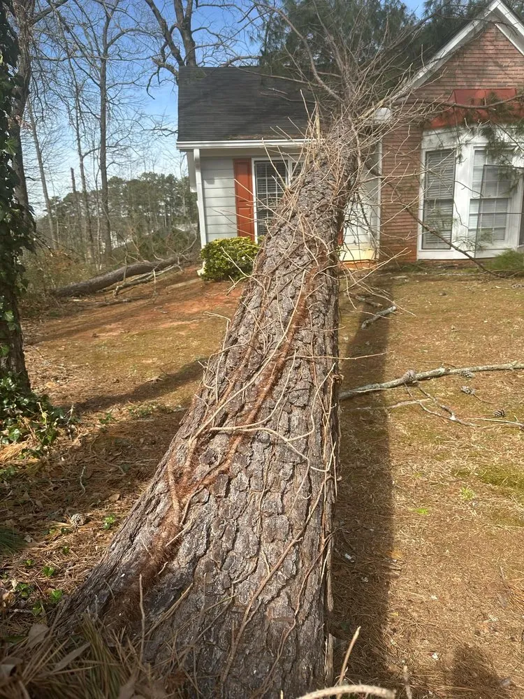 Professional lawn care service in Loganville, GA by Big Red Tree Service