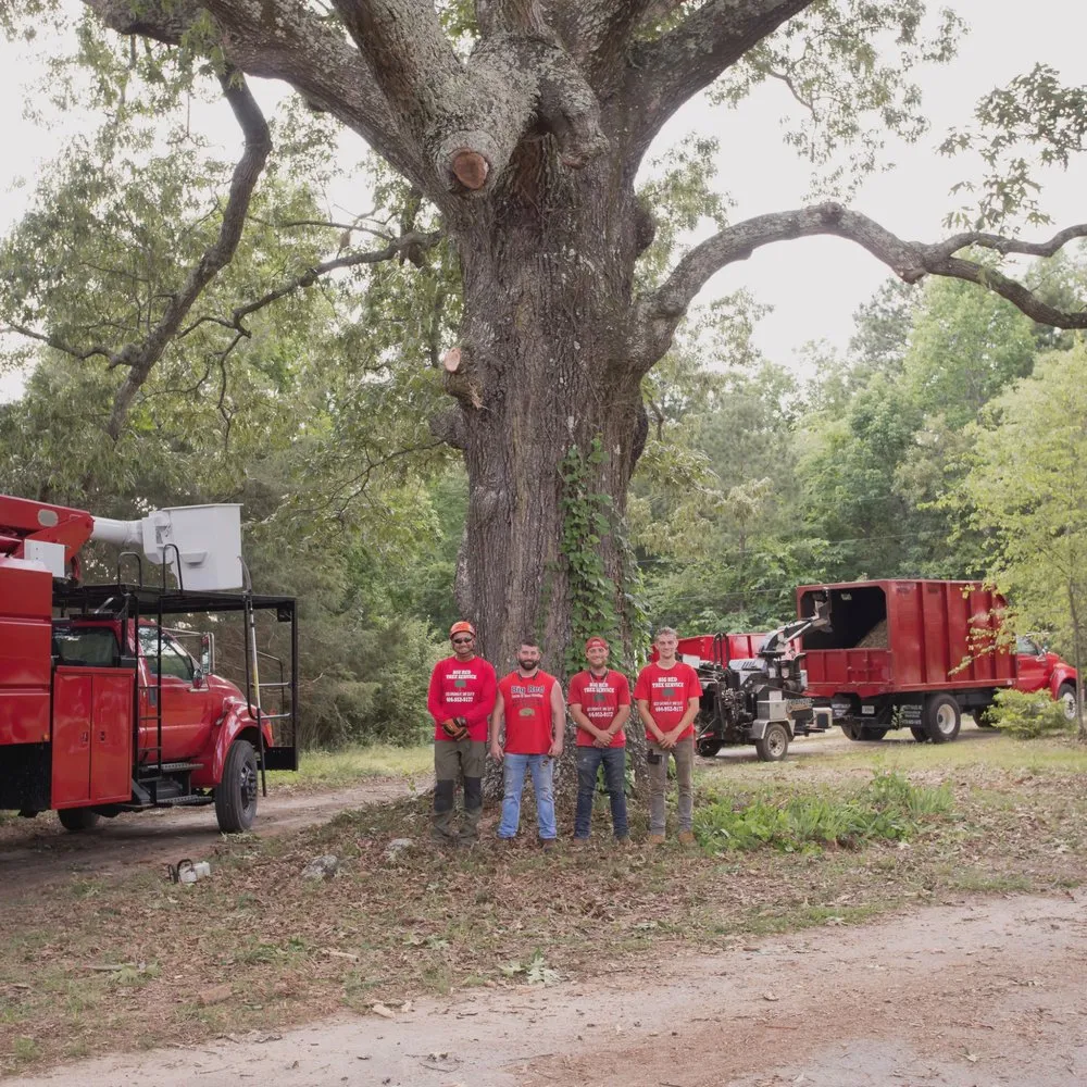 Custom lawn care service for homes across Loganville, GA - Big Red Tree Service