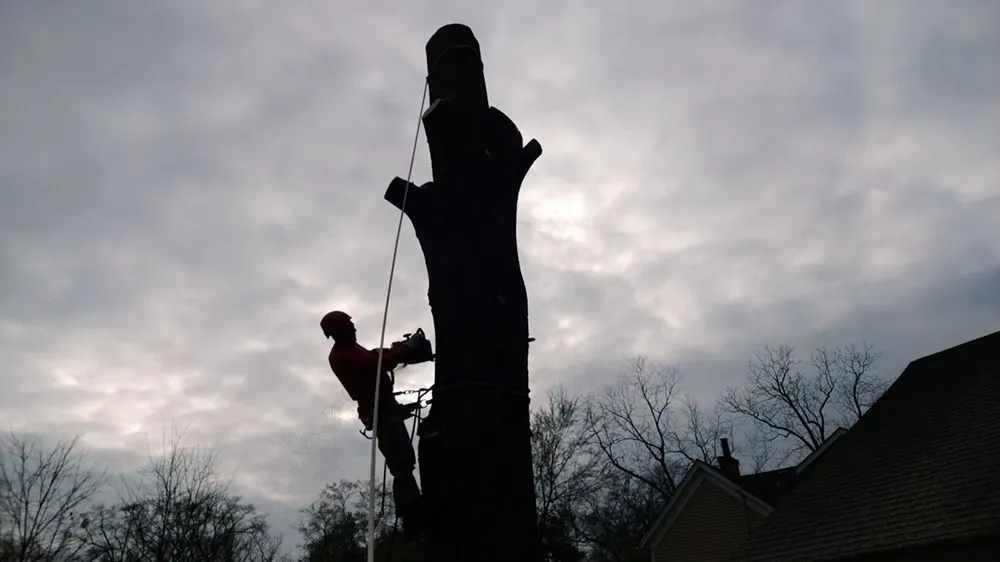 Reliable garden landscaping near you in Loganville, GA by Big Red Tree Service