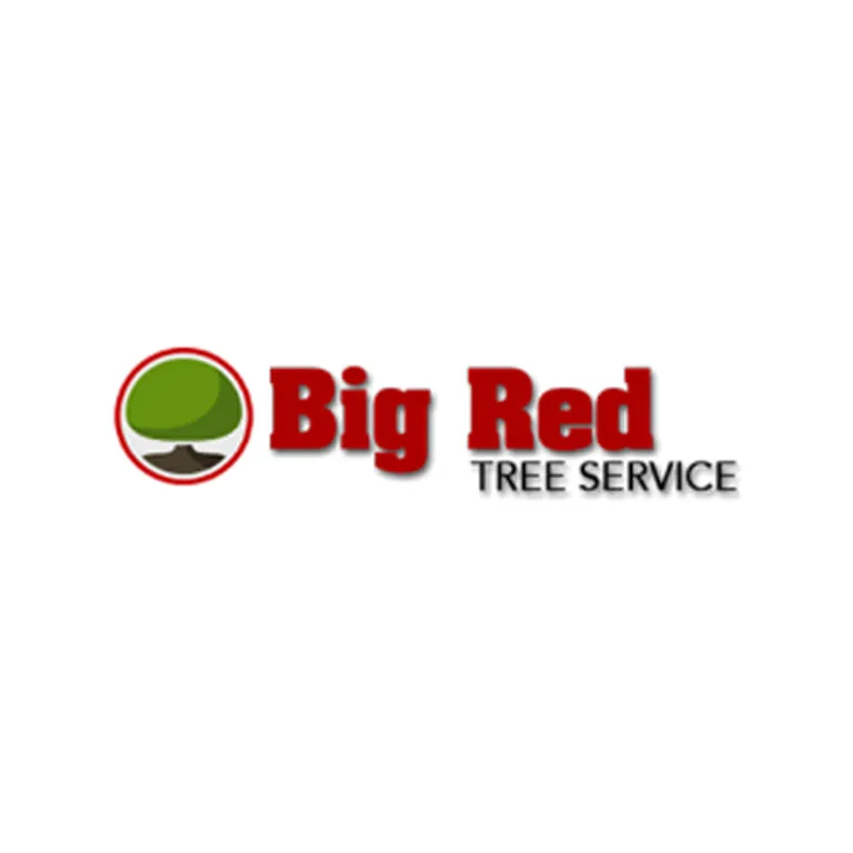 Trusted yard cleanup service near you across Loganville, GA - Big Red Tree Service