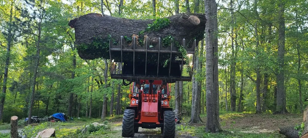 Custom garden landscaping for residential properties across Loganville, GA - Big Red Tree Service
