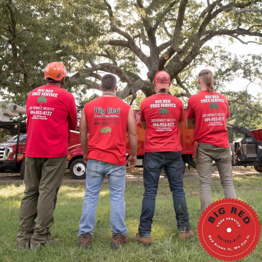 Top-rated lawn care service experts serving Loganville, GA - Big Red Tree Service