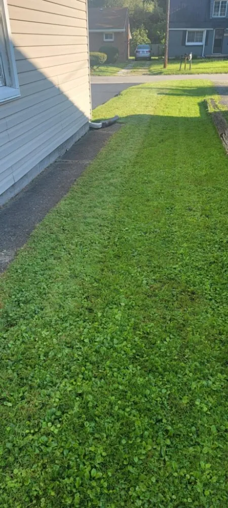 Local lawn mowing service for homes across Madison, OH - Big Reds Landscaping