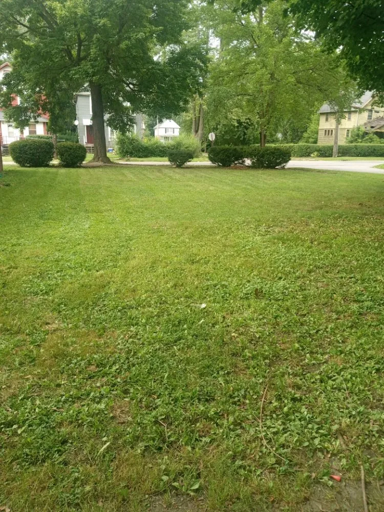 Expert lawn care service in Madison, OH - Big Reds Landscaping