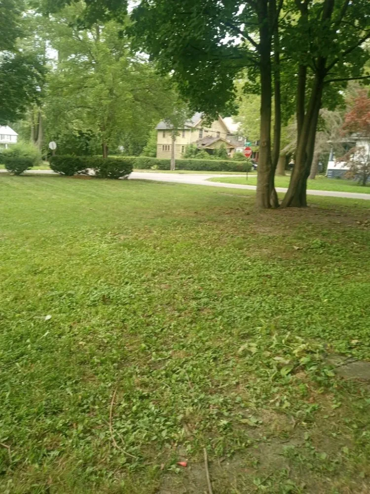 Local landscaping services in Madison, OH - Big Reds Landscaping